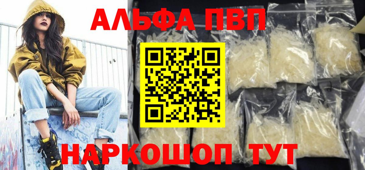 Альфа ПВП СК КРИС Карачаевск