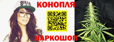 стафф Бийск