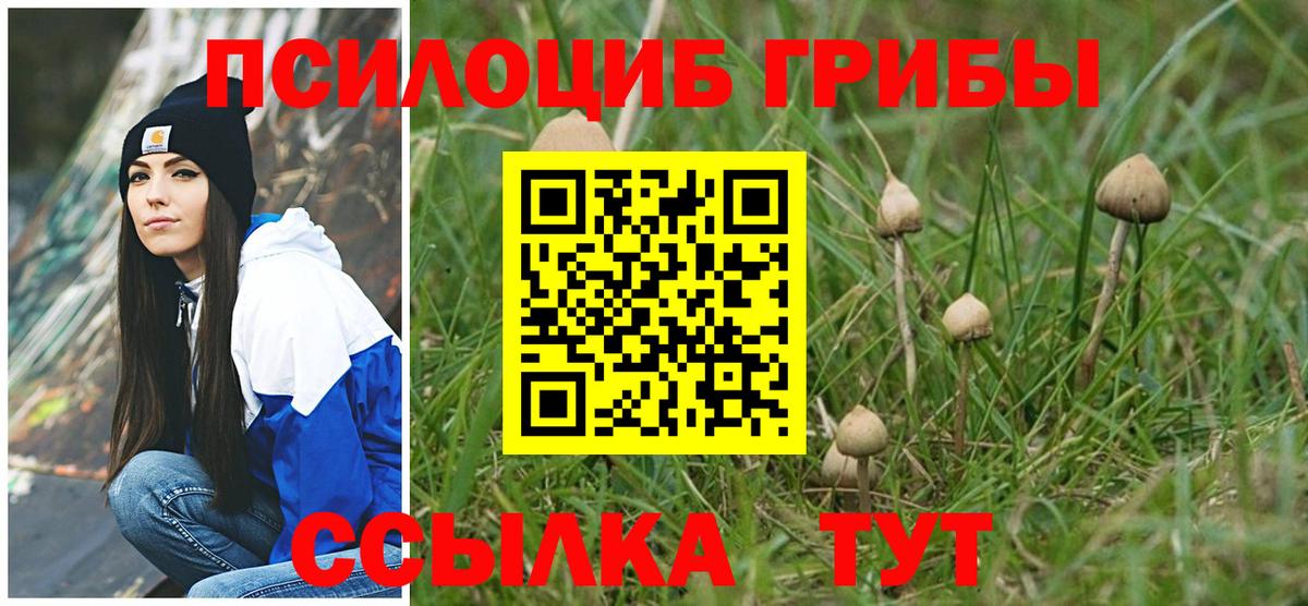 наркотики  Вход с VPN  Карачаевск  Галлюциногенные грибы GOLDEN TEACHER 