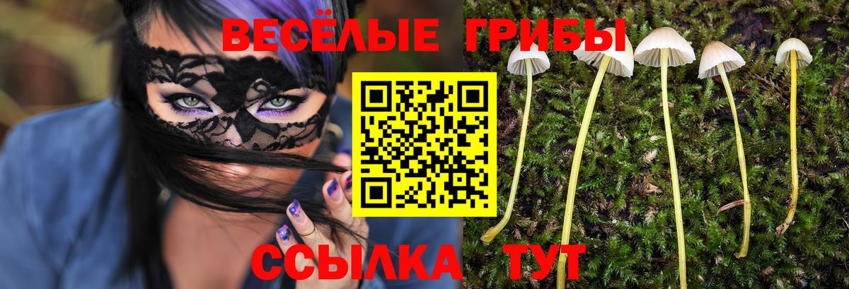 Псилоцибиновые грибы ЛСД Карачаевск